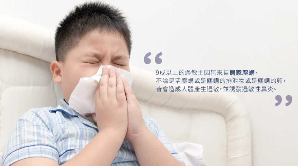 9成以上過敏原來自居家塵蟎