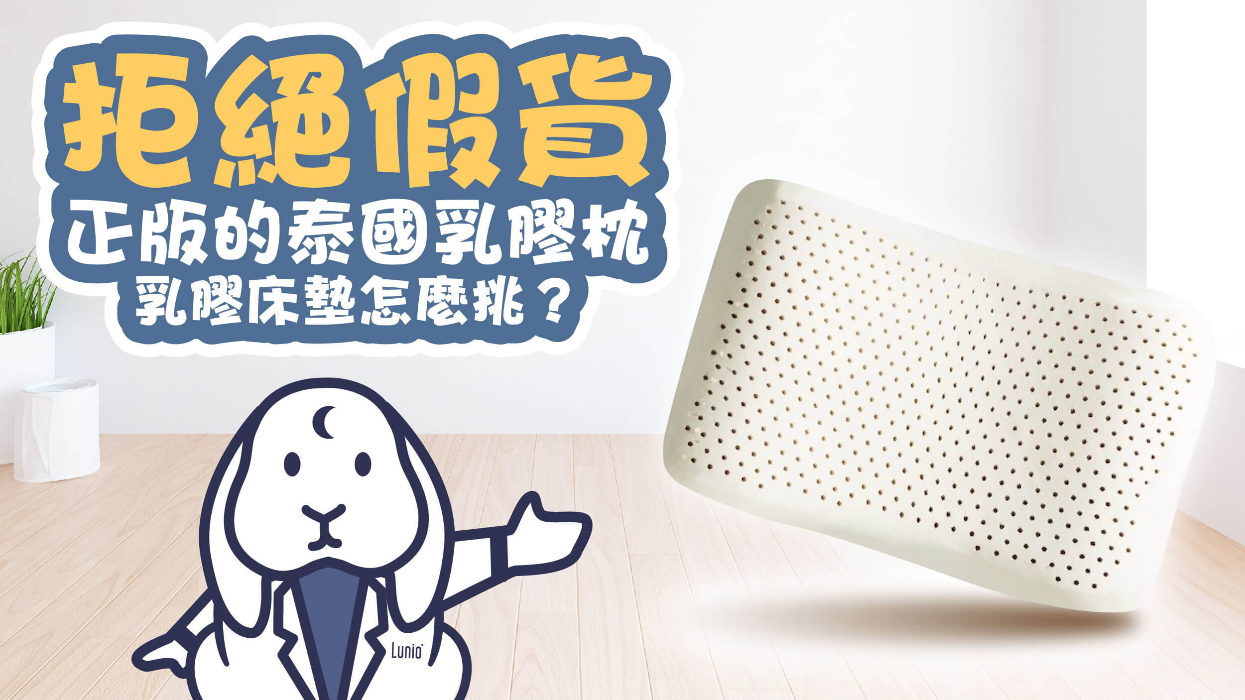 拒絕假貨,正版的泰國乳膠枕、乳膠床墊怎麼挑?