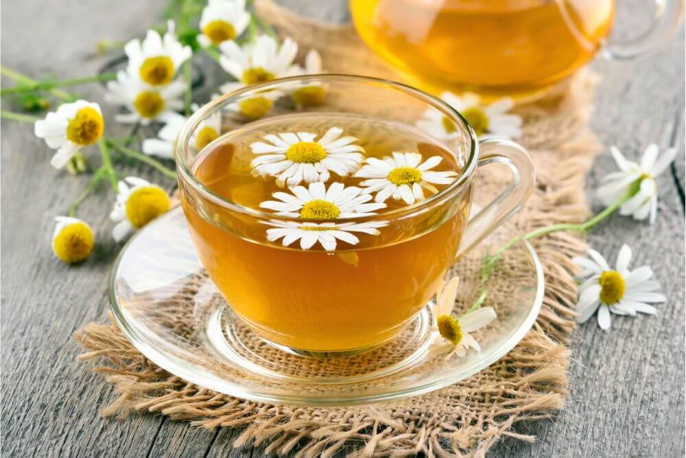助眠茶推薦:洋甘菊茶
