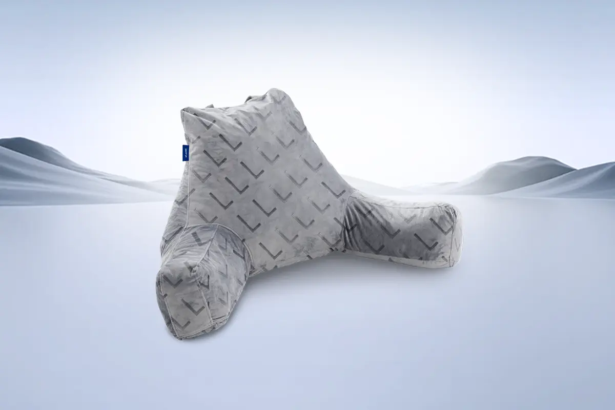 Ergo Homepage Embrace 擁抱枕